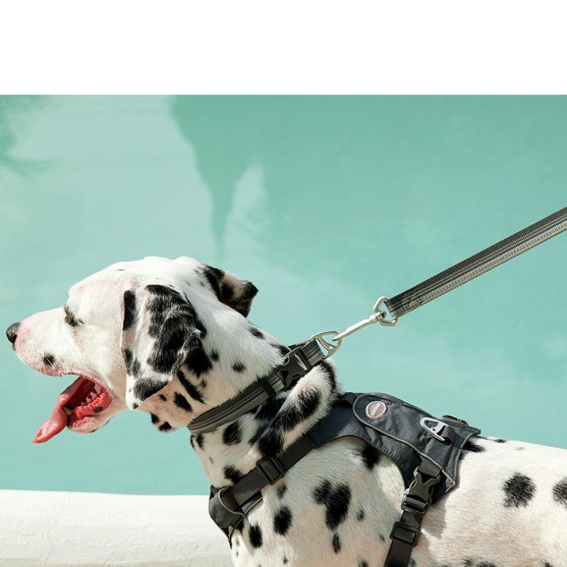 TOUCHDOG® Harness & Leash Set - KIKOPALS
