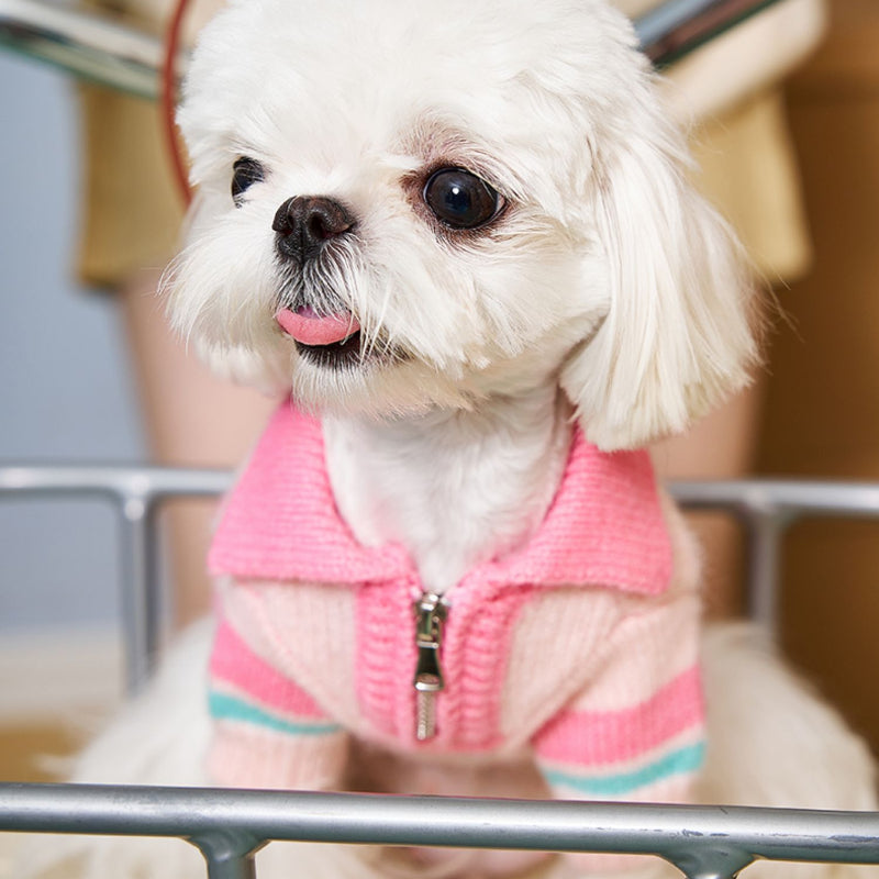 MookiPet® Striped Pink POLO Zipper Sweater for Dogs