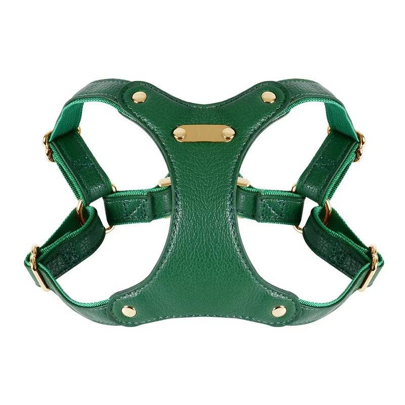 Minly® Leather Dog Harness and Leash Set - KIKOPALS