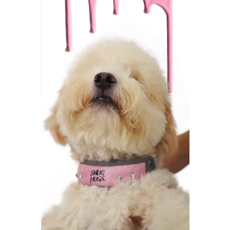 SNUGHUGS® Dog Collar - KIKOPALS