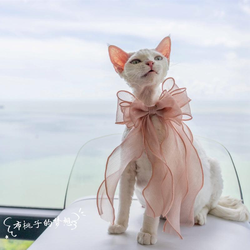 GINGERAIN® Cat Bow Tie Collar - KIKOPALS