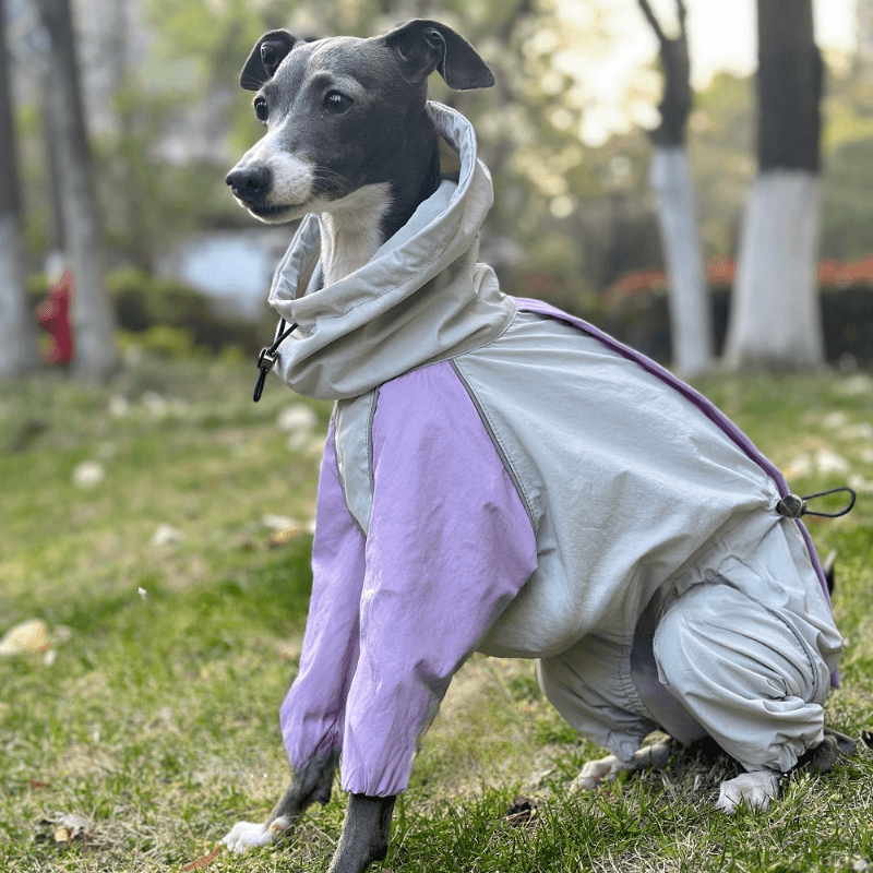 A HUNTING DOG® Dog Color-blocked Waterproof Jacket - KIKOPALS