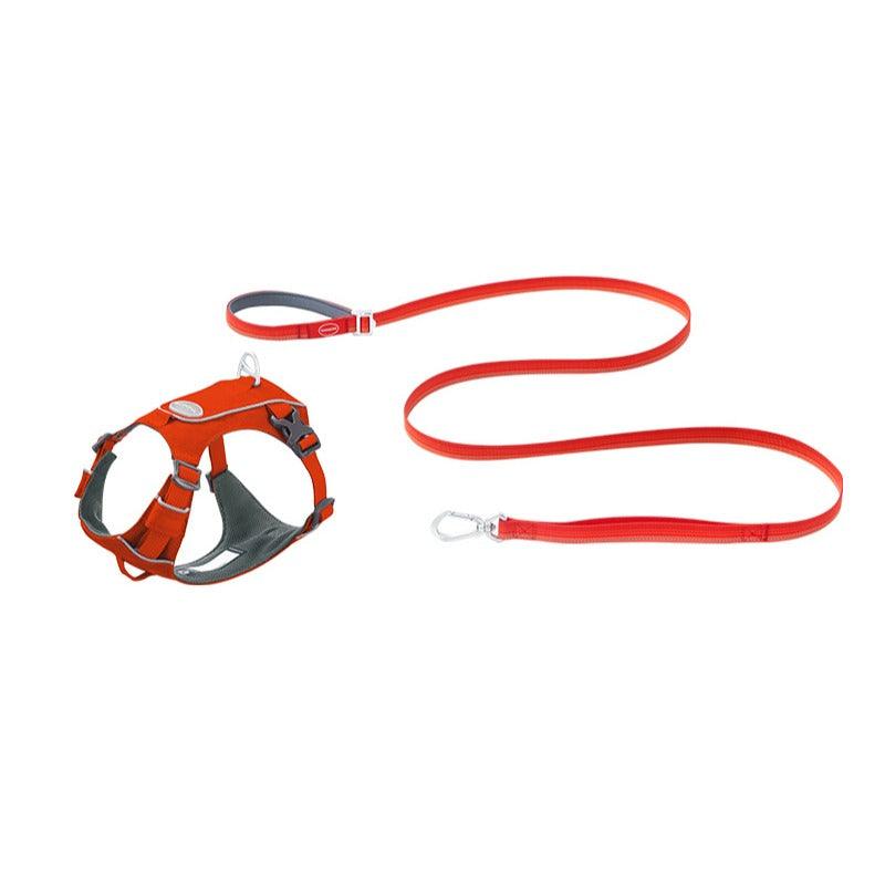 TOUCHDOG® Harness & Leash Set - KIKOPALS