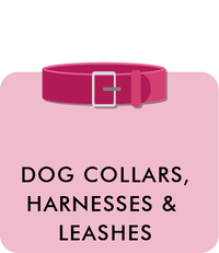 DOG COLLARSHARNESSES &LEASHES