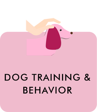 Dog Training & Behavior