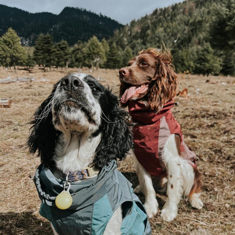 BBPRODUCTION® Sleeveless Waterproof Dog Jacket - KIKOPALS