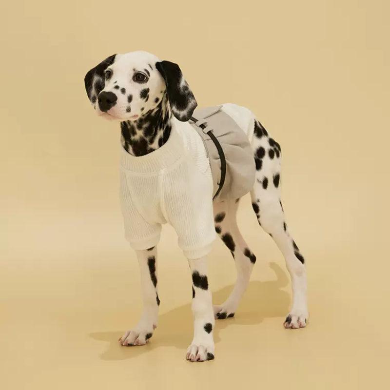 Dottylab® Waistband Pet T-Shirt with Leather - KIKOPALS