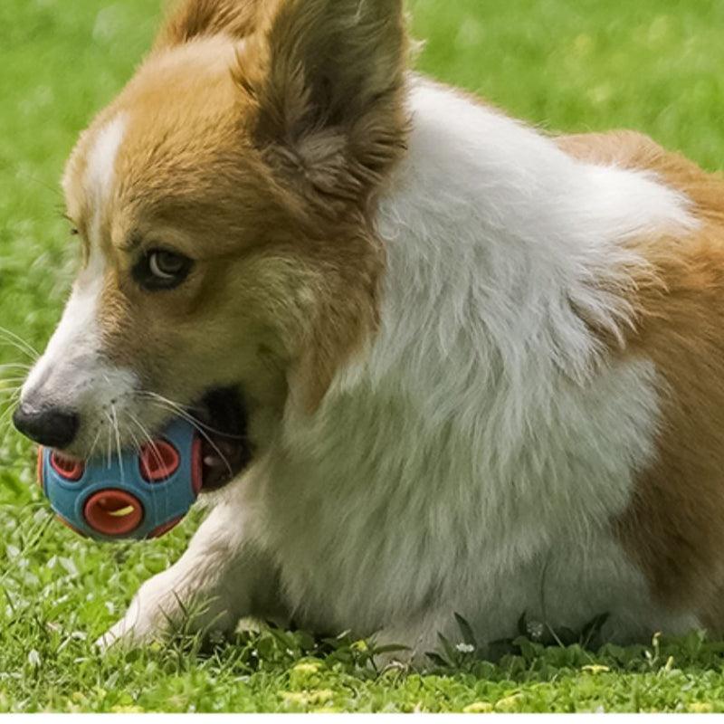 MoovaLab® Squeaky Ball Dog Toy - KIKOPALS