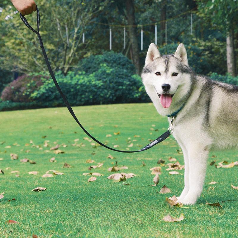 BeauGo® Dog Leash - KIKOPALS