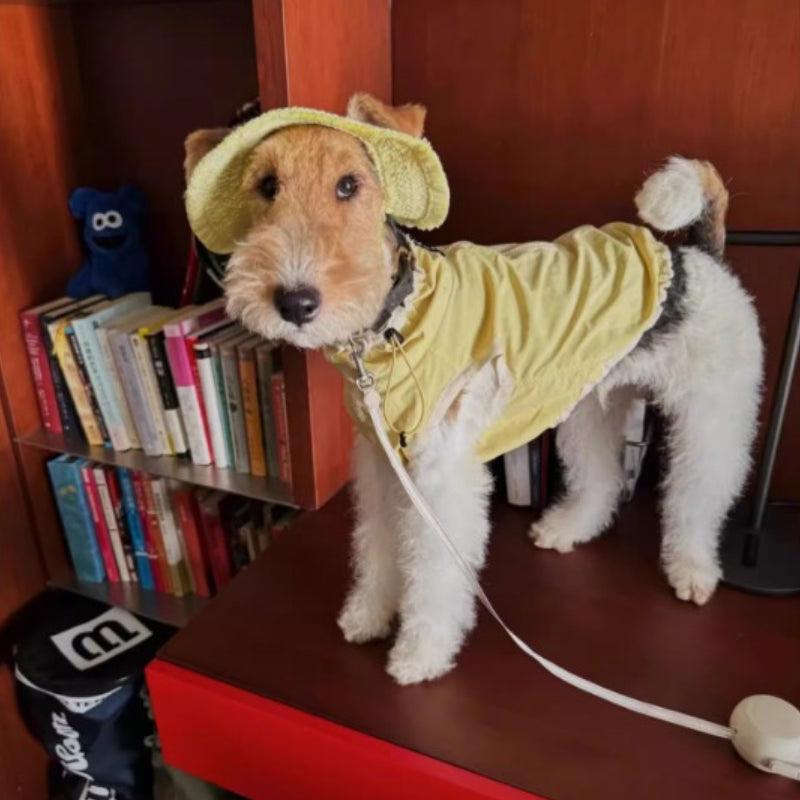 BBPRODUCTION® Cooling Sun Protection Dog Vest - KIKOPALS