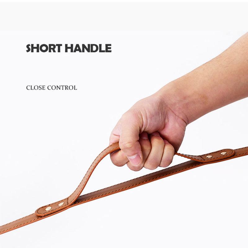 Minly® Leather Dog Harness & Leash Set - KIKOPALS