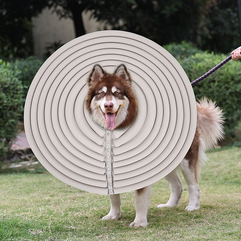 doglemi® Dog Elizabethan Collar