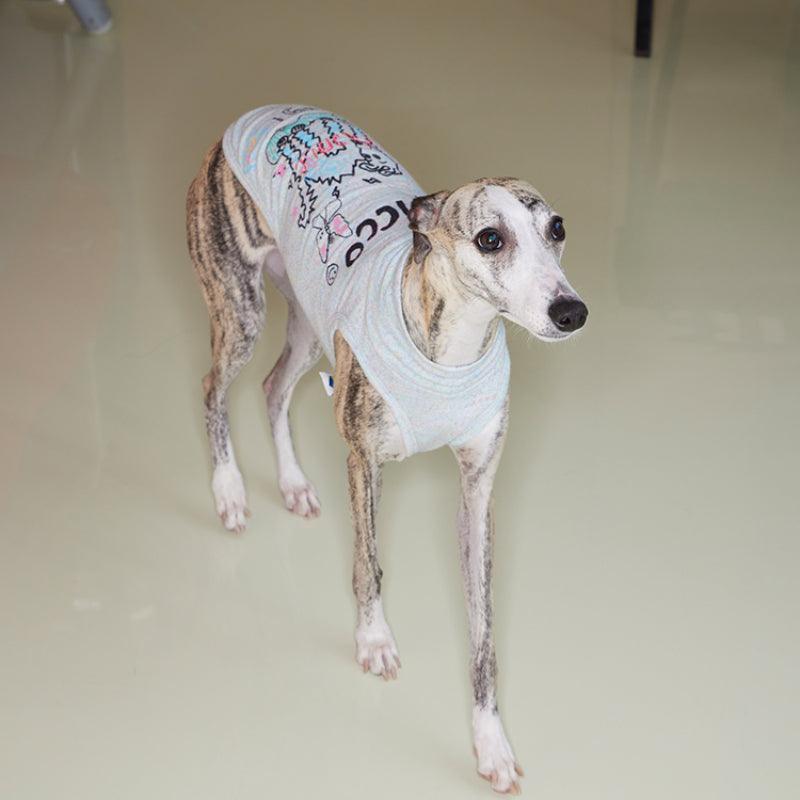 SANCCO® Graffiti Dog & Owner Matching Outfits - KIKOPALS