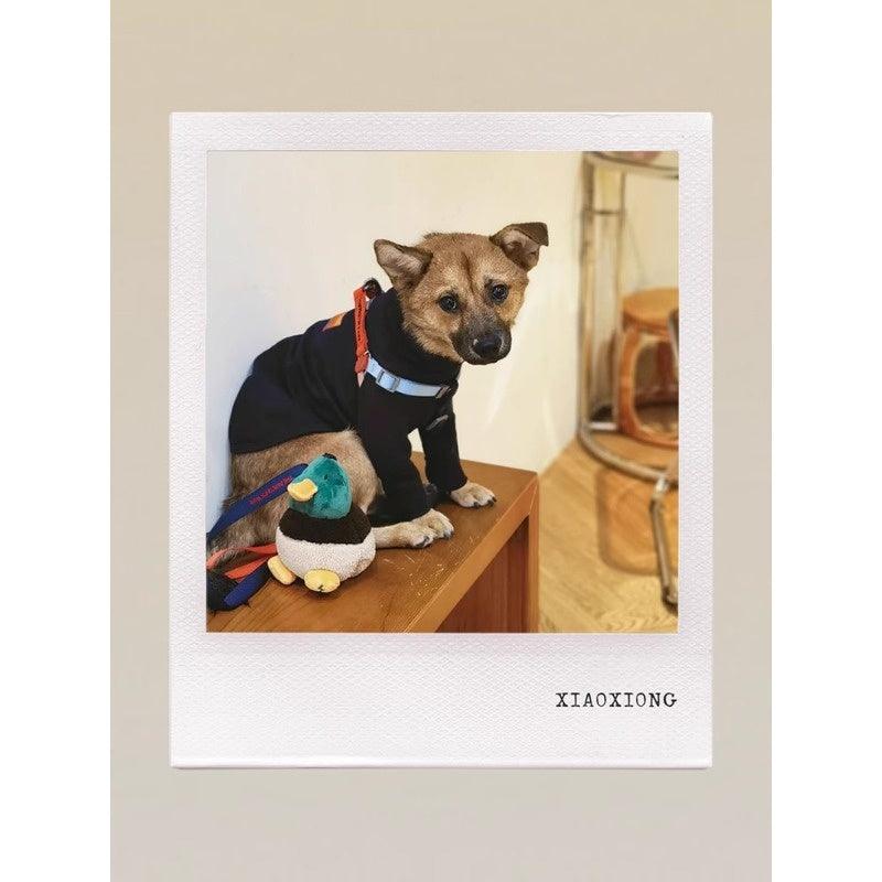 GASU® Textured Linen-Feel Slim Fit Pet Shirt - KIKOPALS