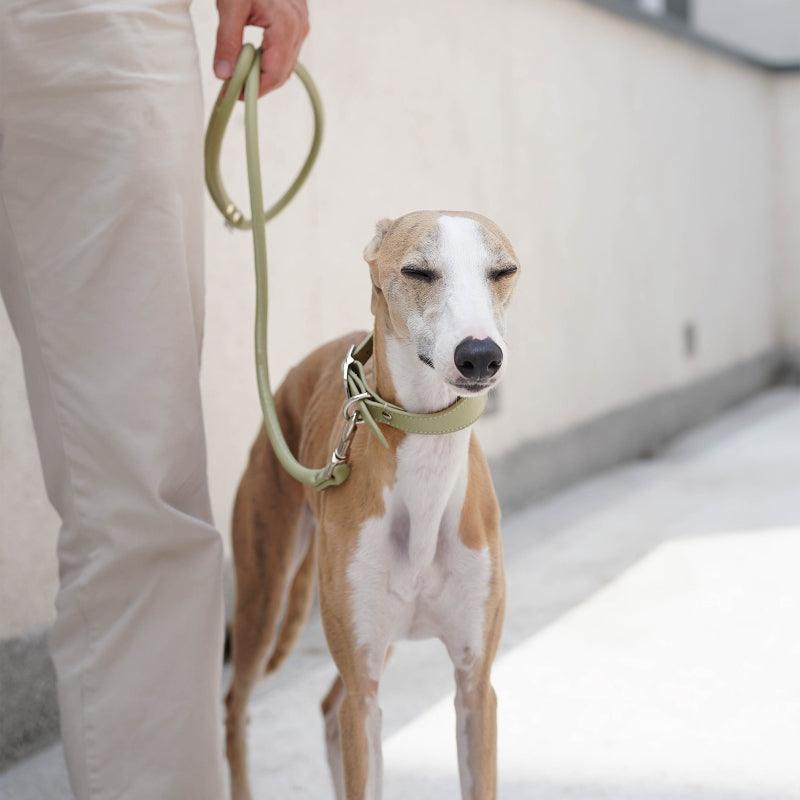 Hound Co.® Vegan Series Pet Collar & Leash Set - KIKOPALS