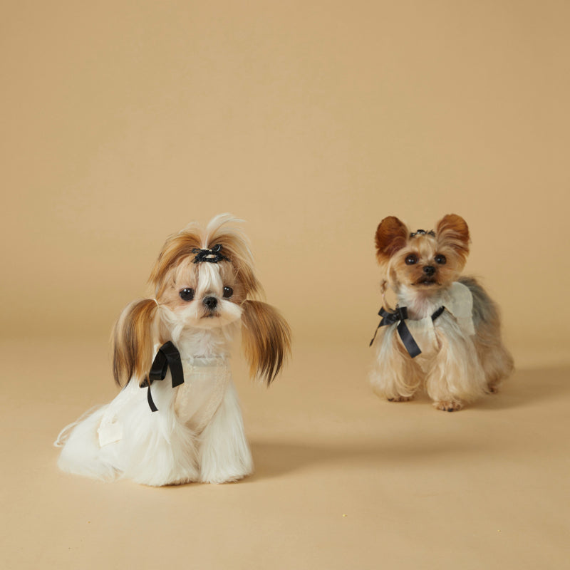 KIYOTT®  Vine Lady Simple Princess Dress for Dogs