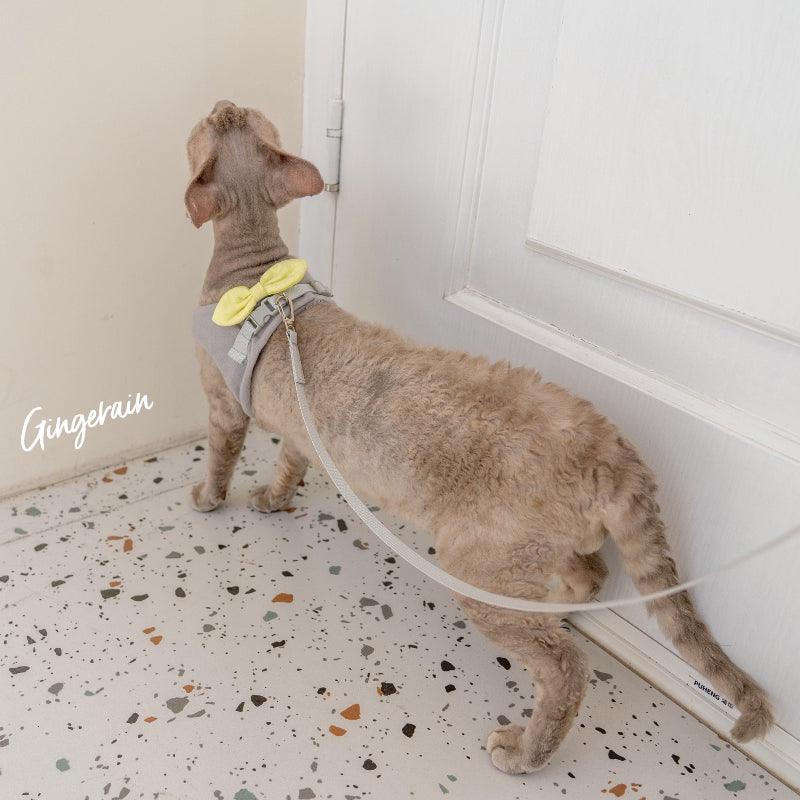 GINGERAIN® Cat Harness & Leash Set - KIKOPALS