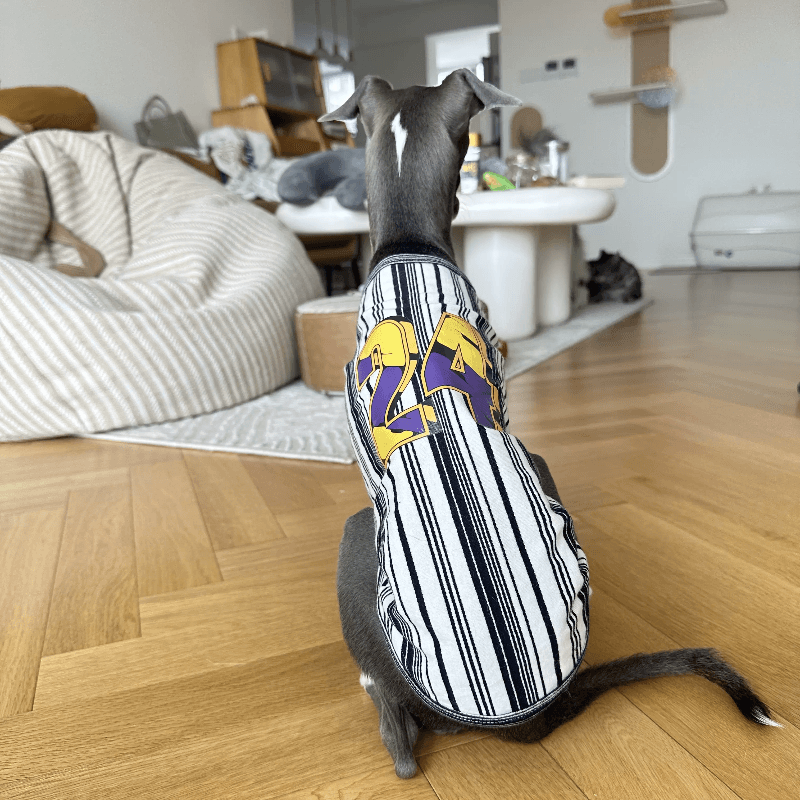 A HUNTING DOG® Dog Hemming Vest - KIKOPALS