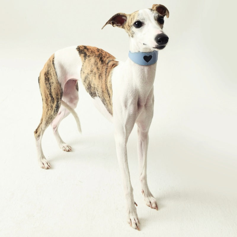 iiNeed® Leather Heart Collar for Whippets Dog