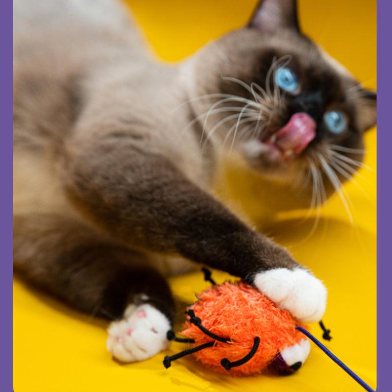 PETSVILLE® "Eerie Night Stroll" Cat Teasers - KIKOPALS