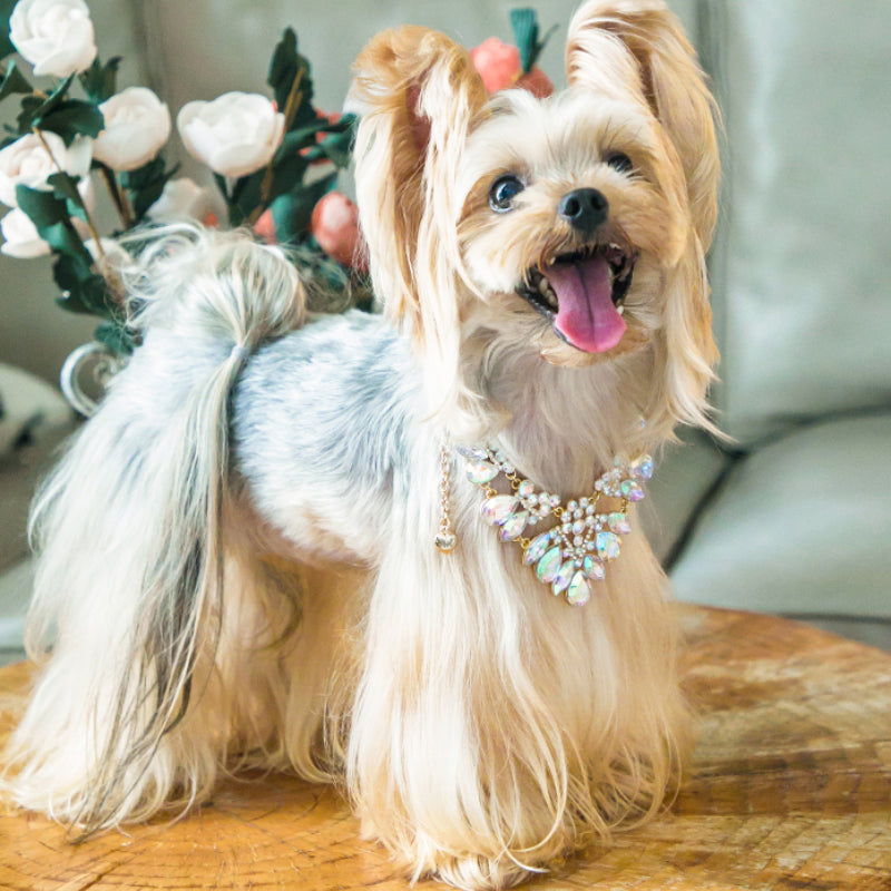 ARKIKA® Pearl Diamond Pet Collar Necklace