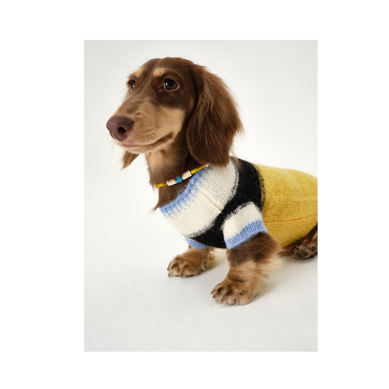 Nuoz® Gradient Color Block Sleeveless Knit Vest for Dogs