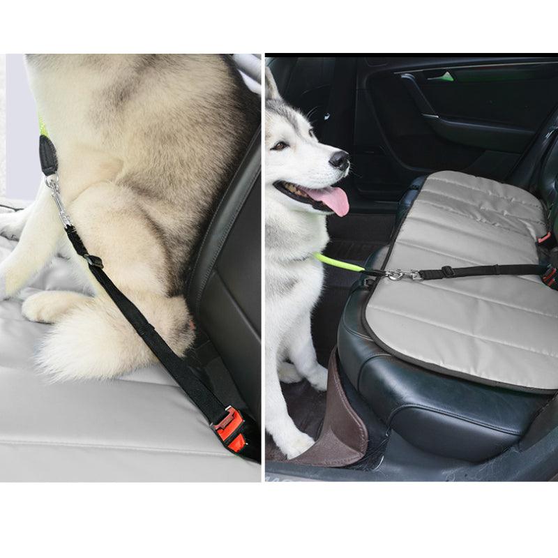BeauGo® Adjustable Pet Seat Belt - KIKOPALS