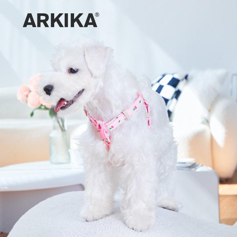 ARKIKA® Fruit-Colored Dog Harness Leash Kit - KIKOPALS