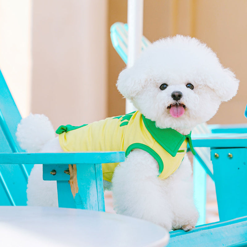 MookiPet® Yellow Lightweight Vest for Small Dogs & Cats