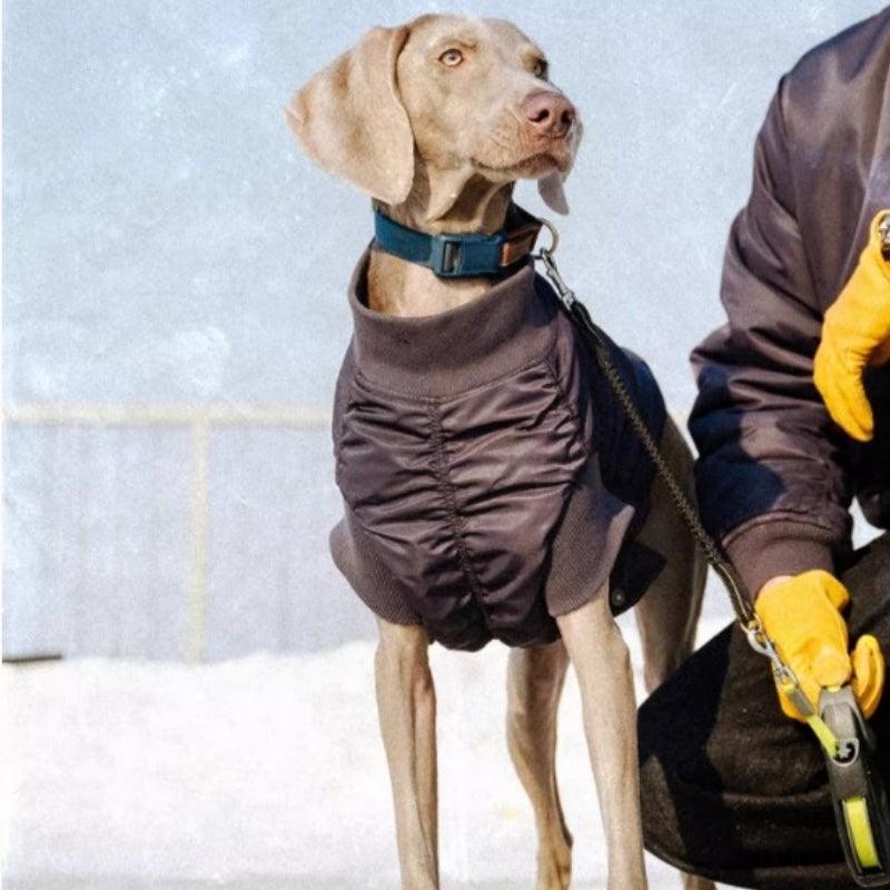 BBPRODUCTION® Pilot Dog Jacket - KIKOPALS