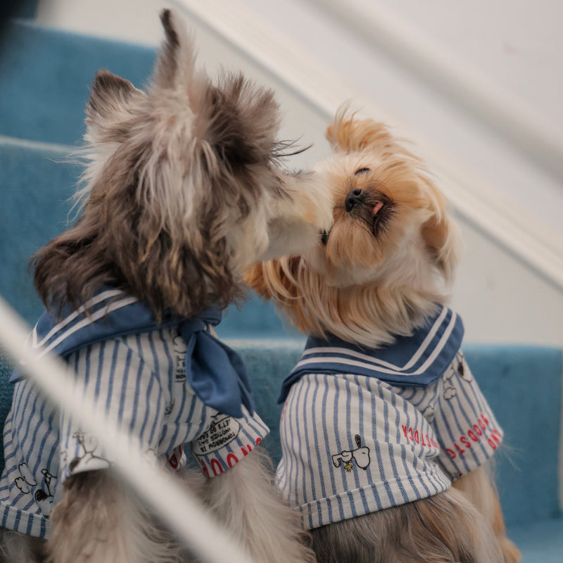 KIYOTT® Vintage Striped Sailor Dress for Dogs