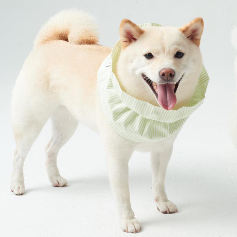 LazyEazy® Anti-Flea Elizabeth Pet Collar - KIKOPALS