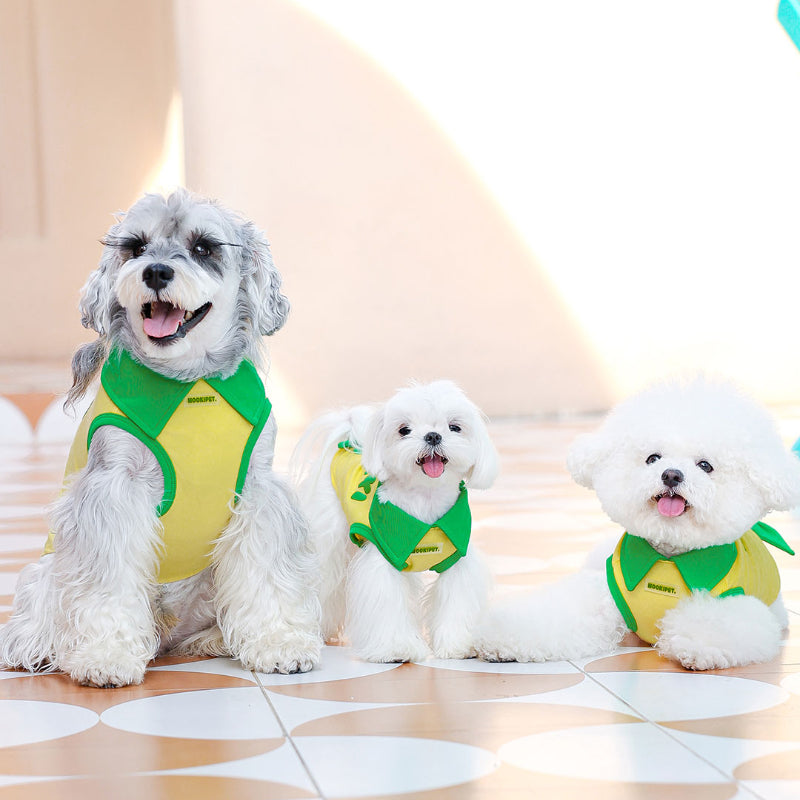 MookiPet® Yellow Lightweight Vest for Small Dogs & Cats