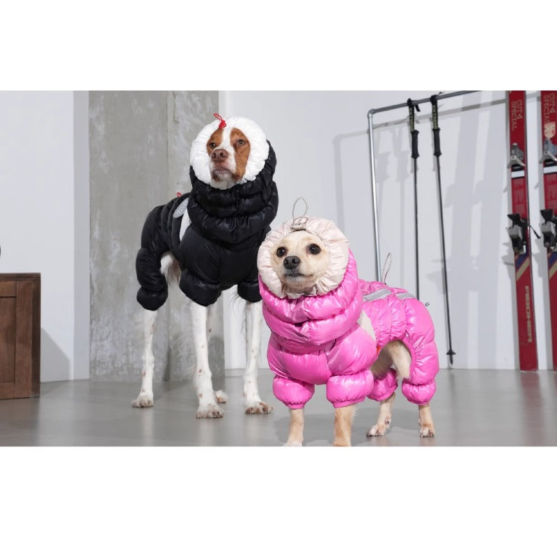 PuppyGallery® Cloud Padded Jacket and Collar for Dogs
