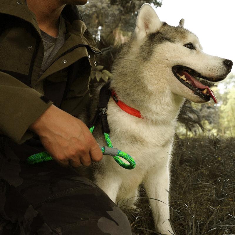 BeauGo® Dog Leash - KIKOPALS