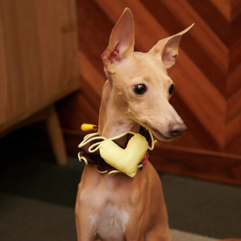 iiNeed® Heart-Shaped Pet Bibs & Scarves