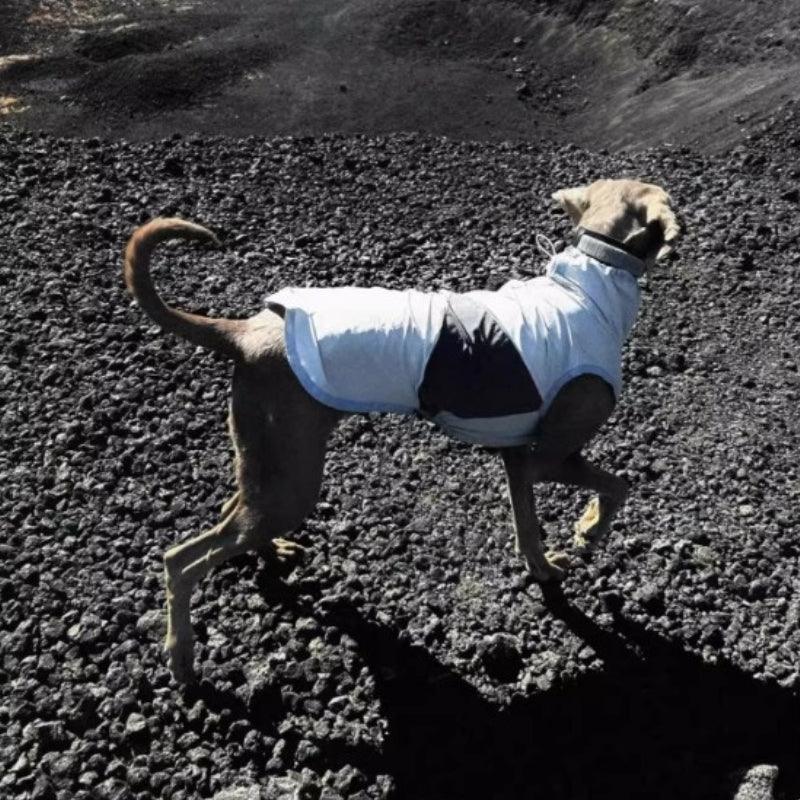 BBPRODUCTION® Cooling Sun Protection Dog Vest - KIKOPALS