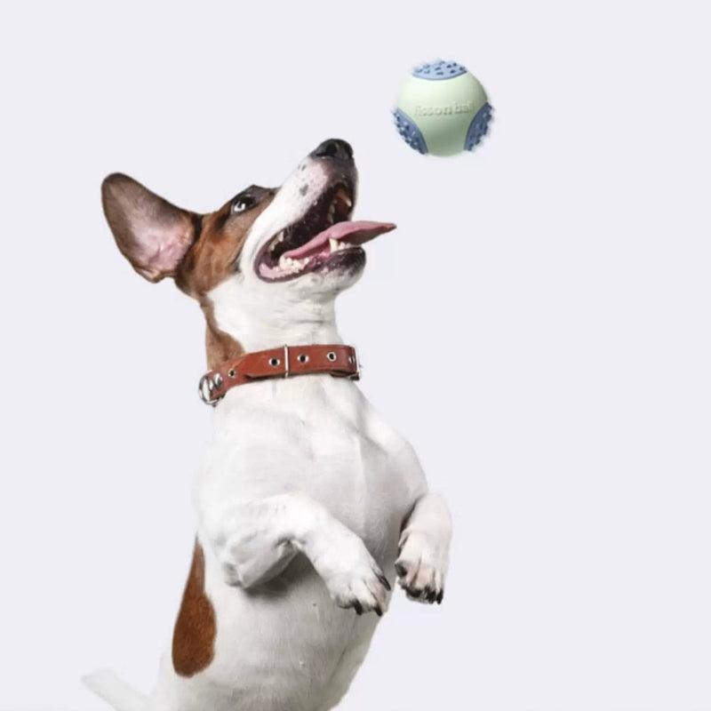 MoovaLab® Squeaky Ball Chew Dog Toy - KIKOPALS