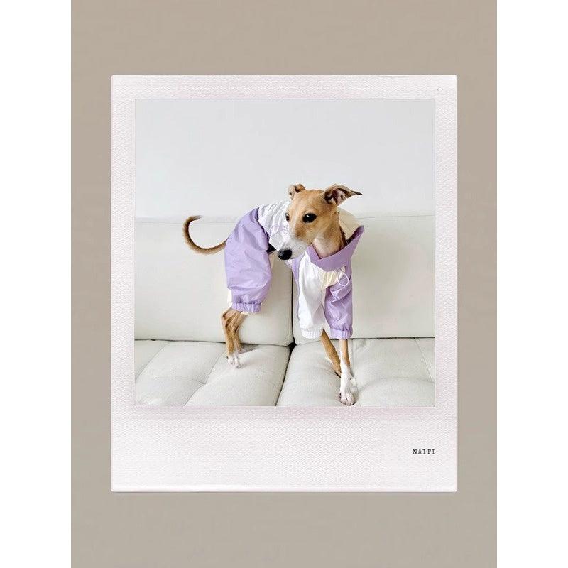 GASU® Cloudy Purple Color-Blocked Raincoat - KIKOPALS