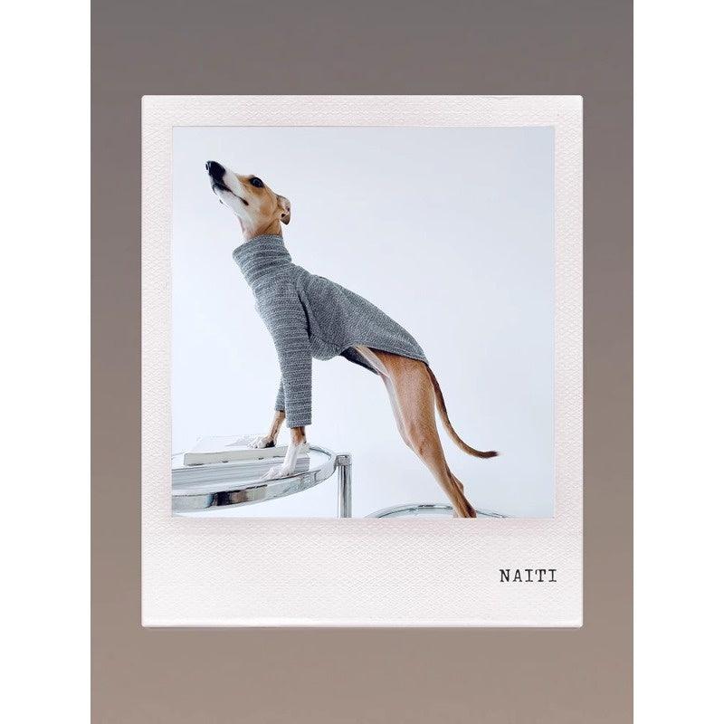 GASU® Grey Slim-Fit Two-Legged Dog Shirt - KIKOPALS