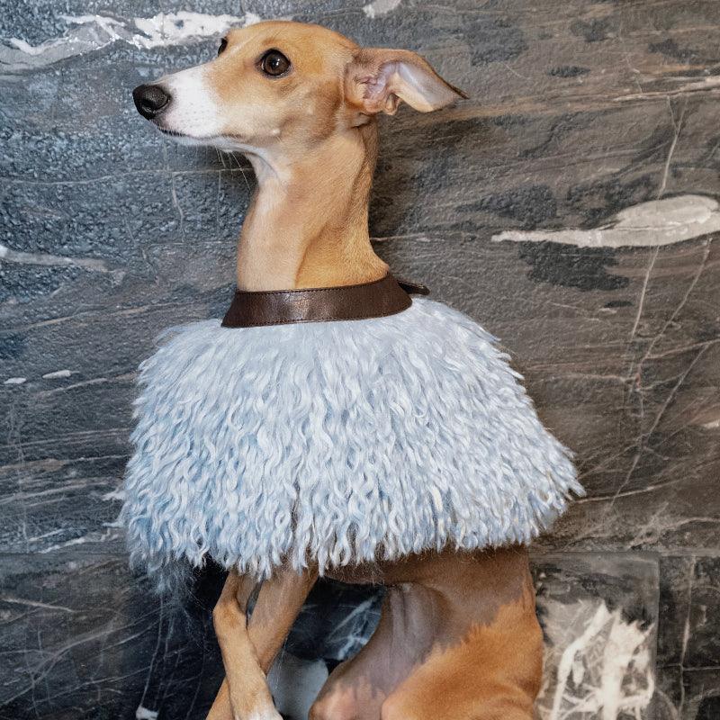 GASU® Leather Dog Cape - KIKOPALS