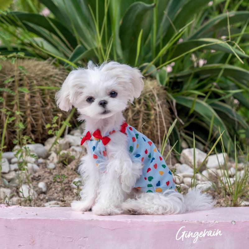 GINGERAIN® Blue Bow Pet Vest - KIKOPALS