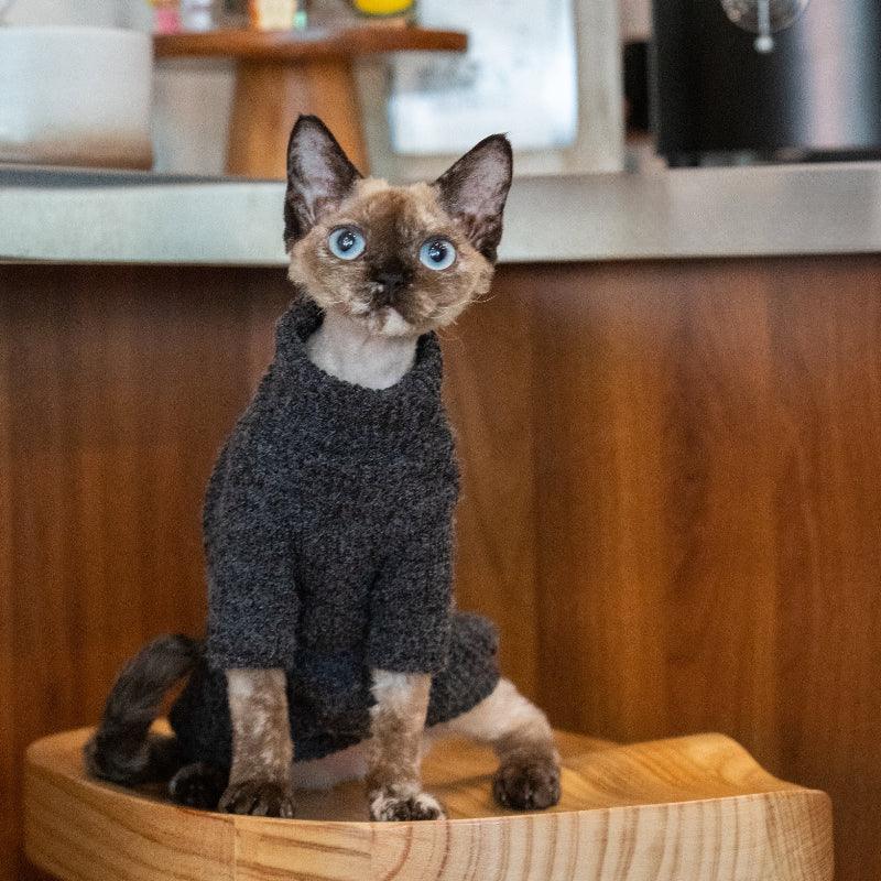 GINGERAIN® Warm Textured Cat Sweater - KIKOPALS