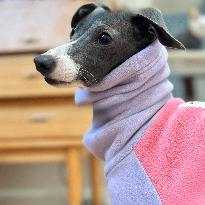 A HUNTING DOG® Dog Thickened Double-sided Fleece Hoodie - KIKOPALS