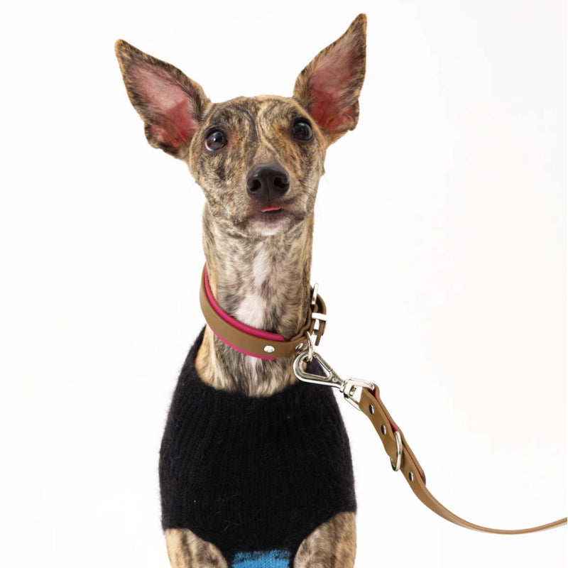 Nuoz® Double Color Leather Pet Collar for Dogs