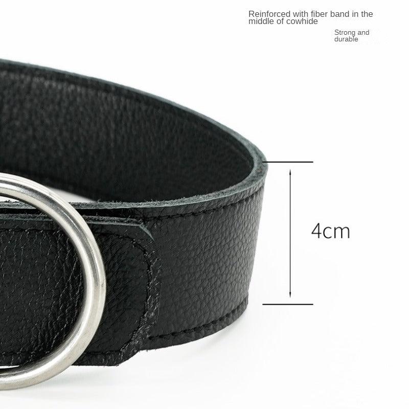 BeauGo® Leather Dog Collar - KIKOPALS