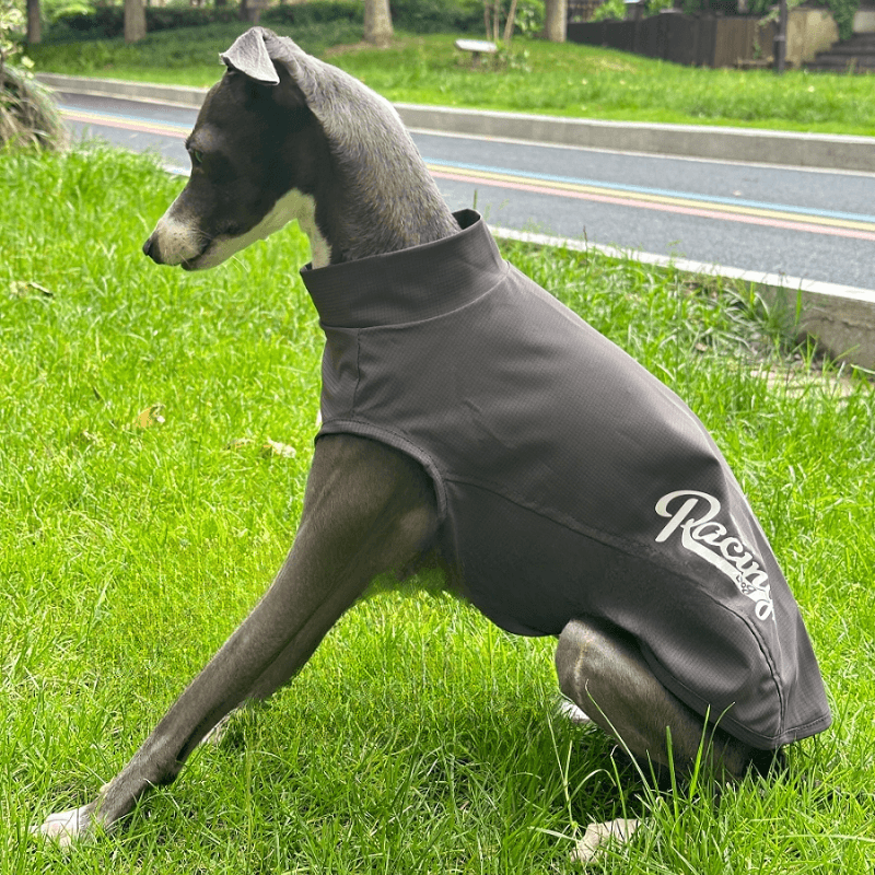 A HUNTING DOG® Dog Cooling Vest - KIKOPALS