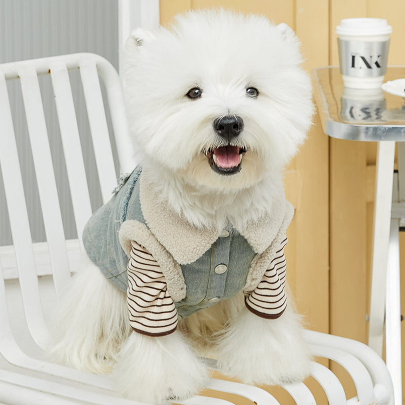 MookiPet® Lamb Wool Denim Vest & Hat for Dogs