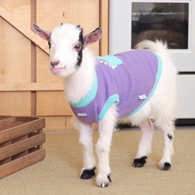 MookiPet® Lightning Cloud Sweater Vest for Dogs