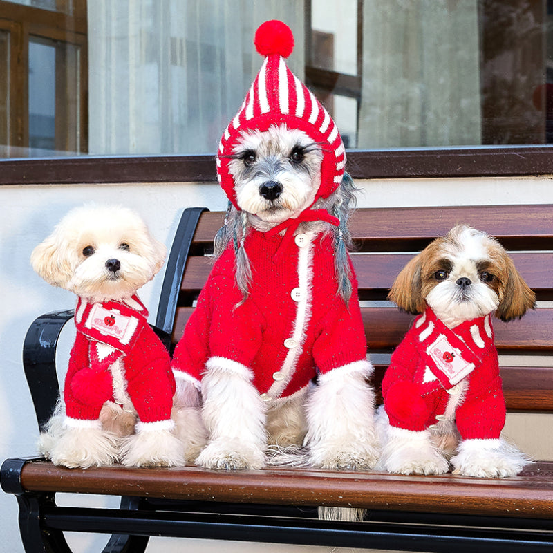 MookiPet® Red and White Striped Knitted Hat and Scarf for Dogs